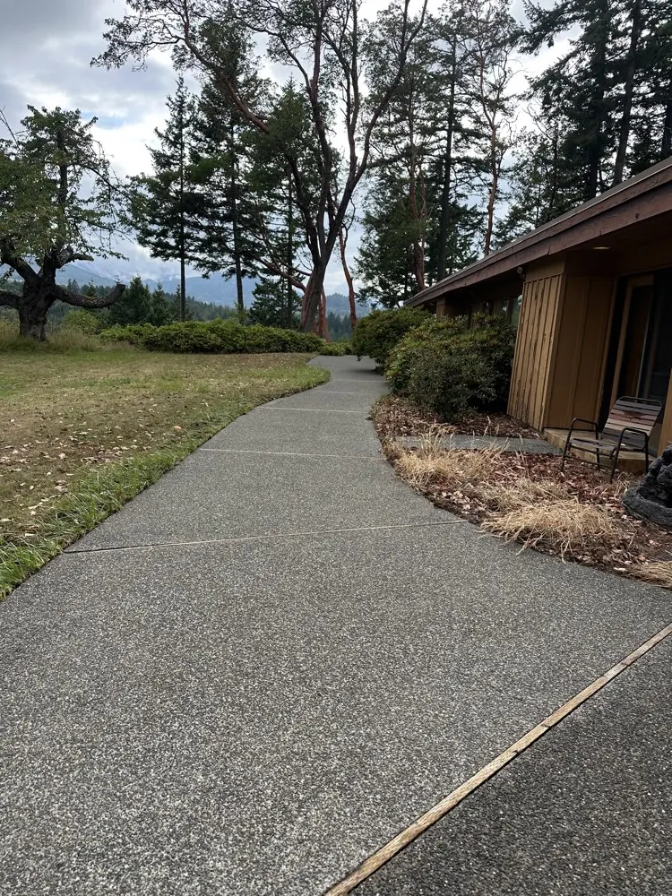 Aggregate driveway after pressure washing, stone texture fully restored