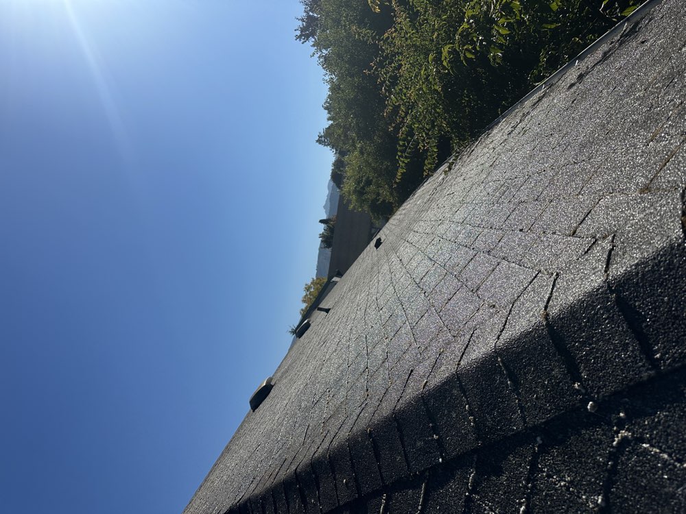 Asphalt shingle roof after moss treatment