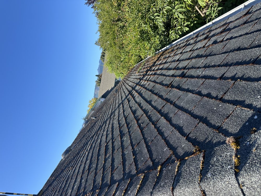 Asphalt shingle roof before treatment, with moss growing along the shingle edges