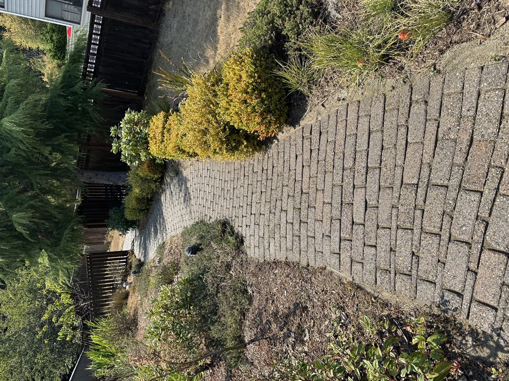 Pavers after cleaning and sealing