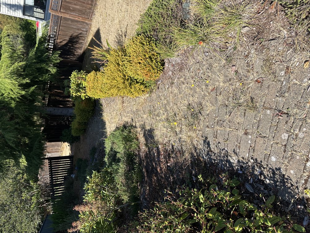 Pavers before cleaning and sealing